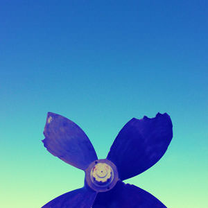 CANDY-COLORED MINIMALISM