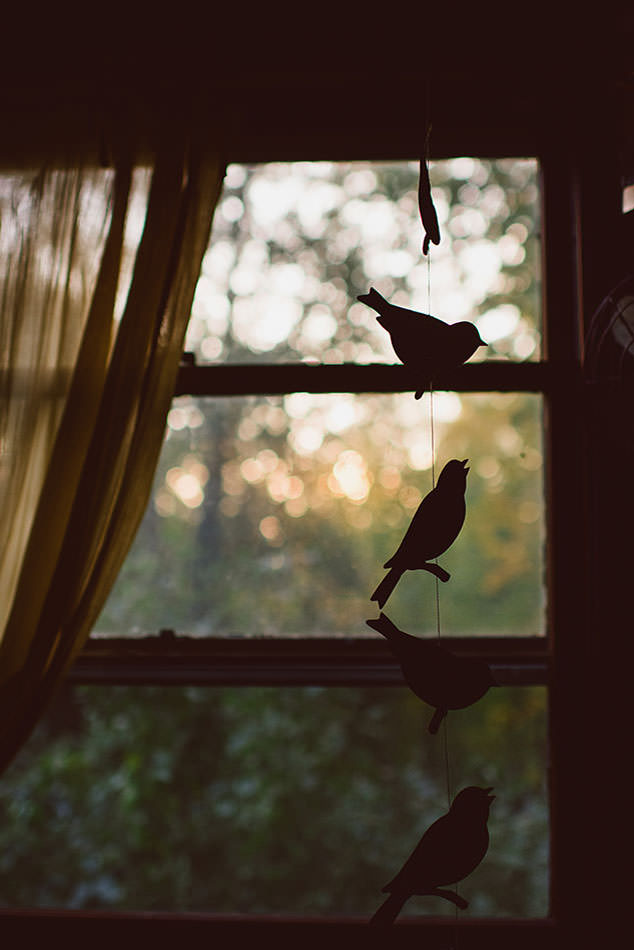 birds1.jpg