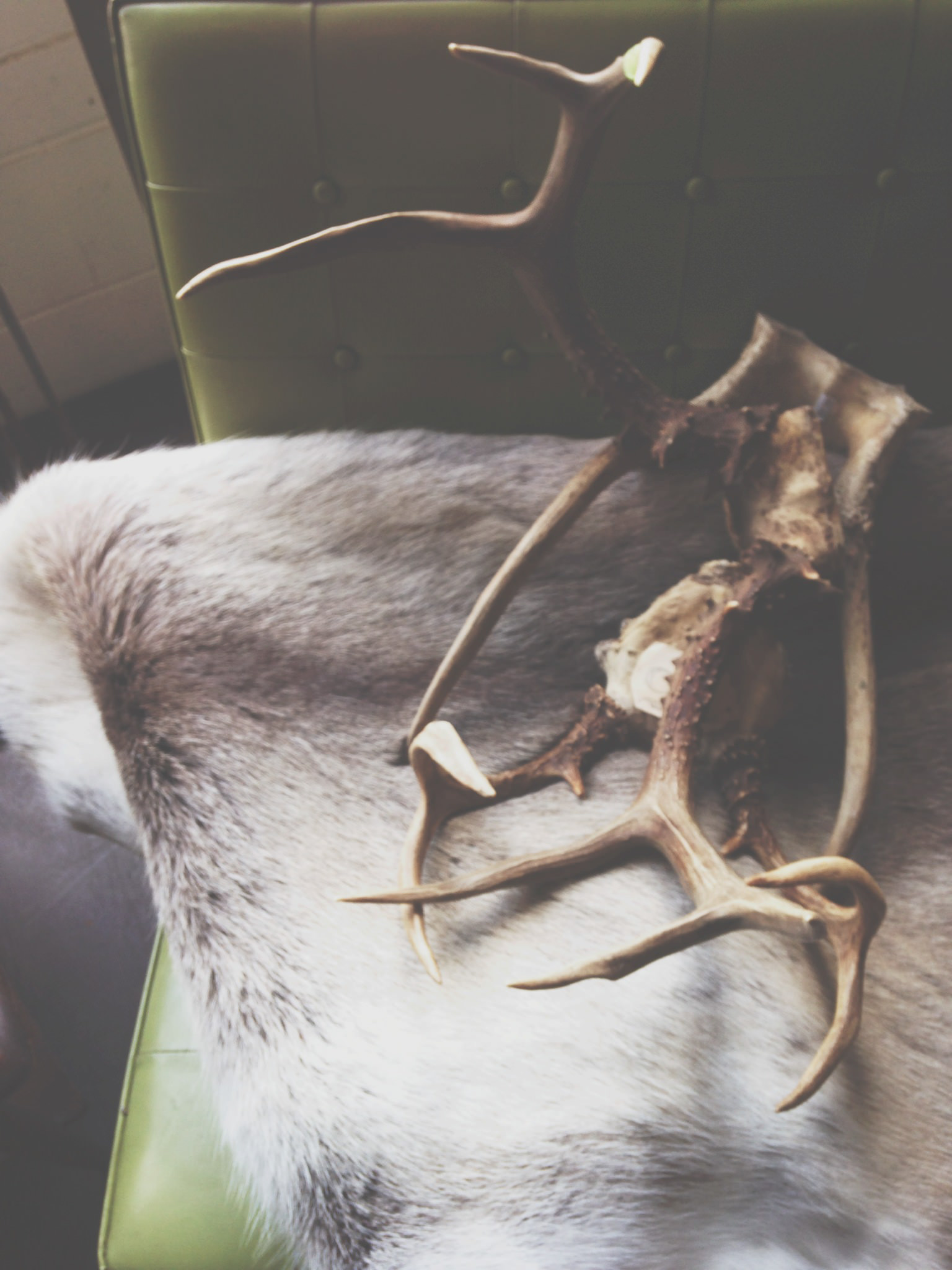 ptgblog-PicTapGo-5923.jpg